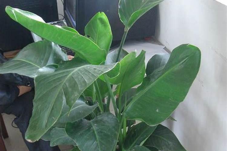 磷化工在工业领域起到什么功效