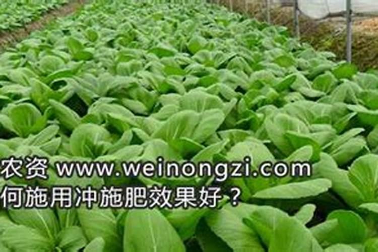 什么肥料含钾多