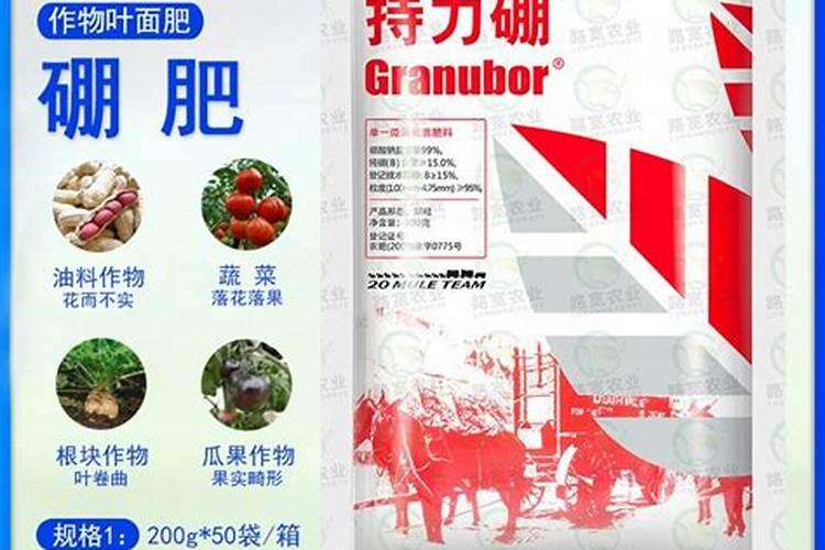为什么夏天种植辣椒要补硼？硼有什么用？