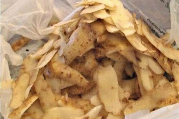 玉米喷叶面肥有用吗