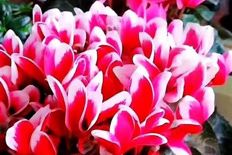 萍乡市水务局主要职责