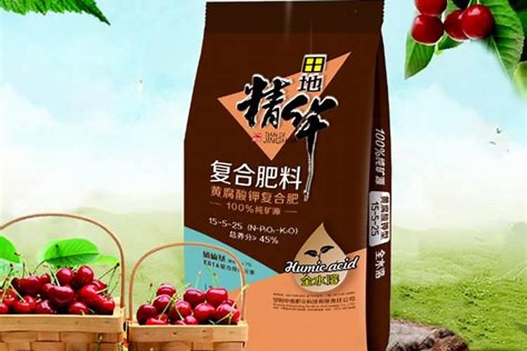 文心兰开花后怎么处理？