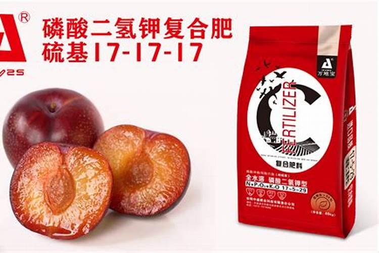 李子树施肥方法及时间