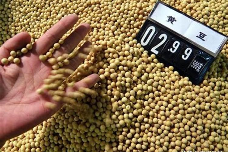 浇花要一般浇多少水