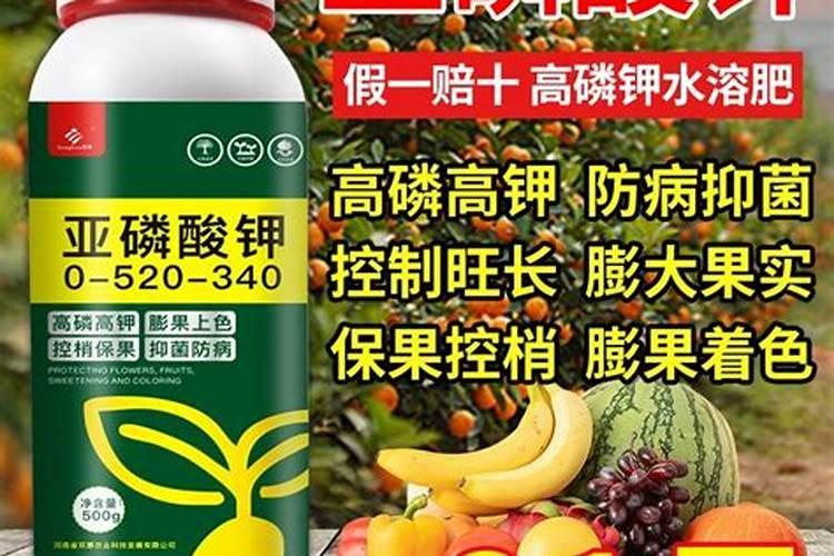 有机肥发酵不能高温的原因