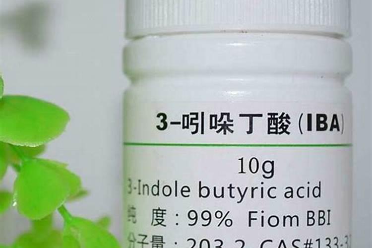 户外花箱适合种什么花(适合花箱种的花卉推荐)