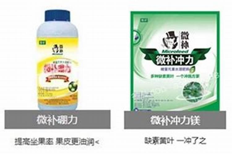 什么是冲施肥？冲施肥有哪些种类与类别？