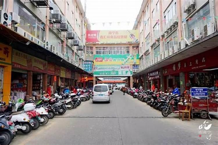 广西哪里有盆桔种植基地？