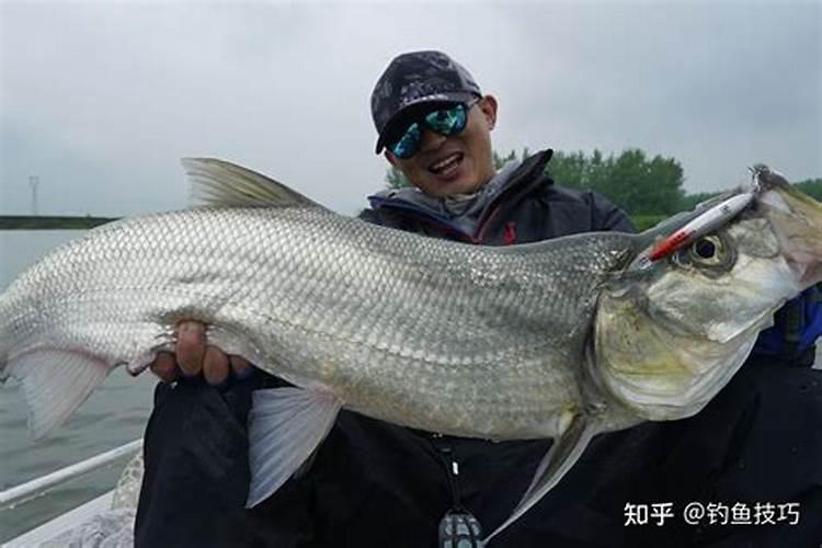 双马阿康复合肥161616水稻二次下肥一亩用多少斤