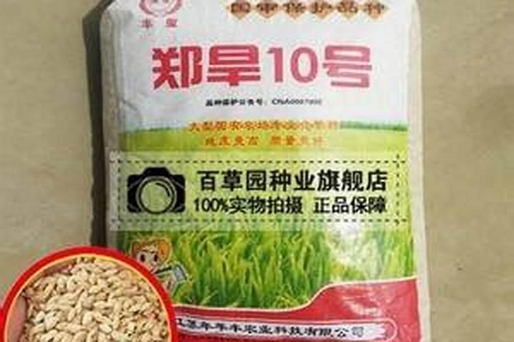 缓释肥哪个牌子的好
