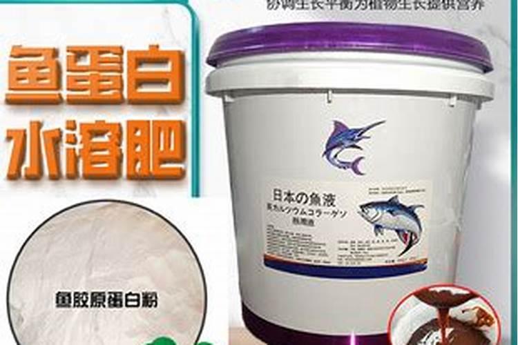 如何自制鱼蛋白液体肥