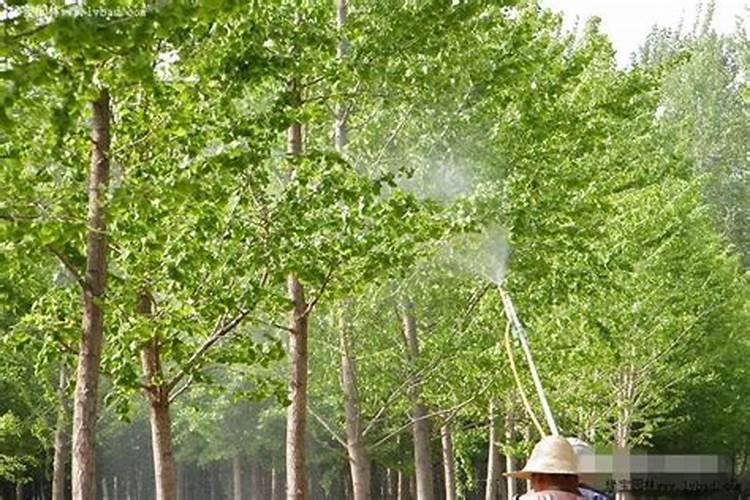 80斤的,复合肥48含量,怎么算.能和,100斤的复合肥48含量,一样吗？