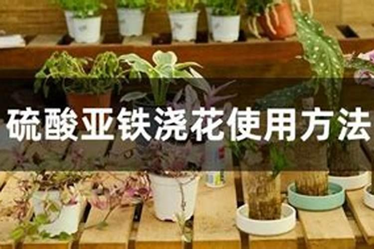 矿源黄腐酸钾执行标准