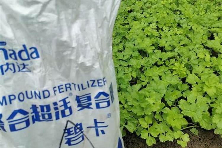 桂花冬季如何施肥