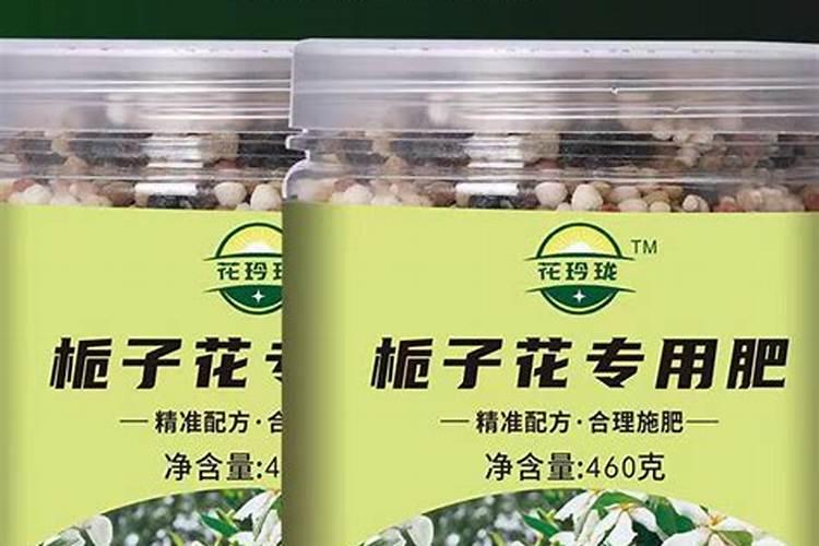 栀子花用什么肥料好？