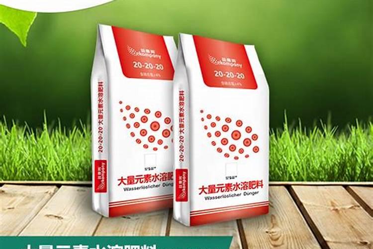 "槟榔"是一种什么样的食品,哪些国家和地区习惯食用它？