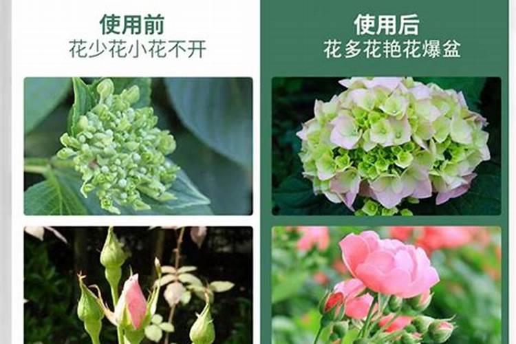 空气成分中可以做气体肥料的是