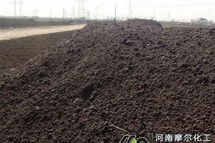 仗剑走天涯,这几个广东省内的极限运动基地你一定要去!