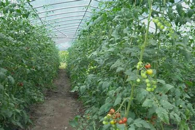 批发化肥一般多少钱一袋