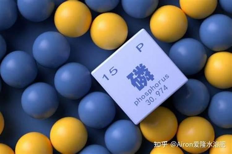 钾肥如何使用在花上