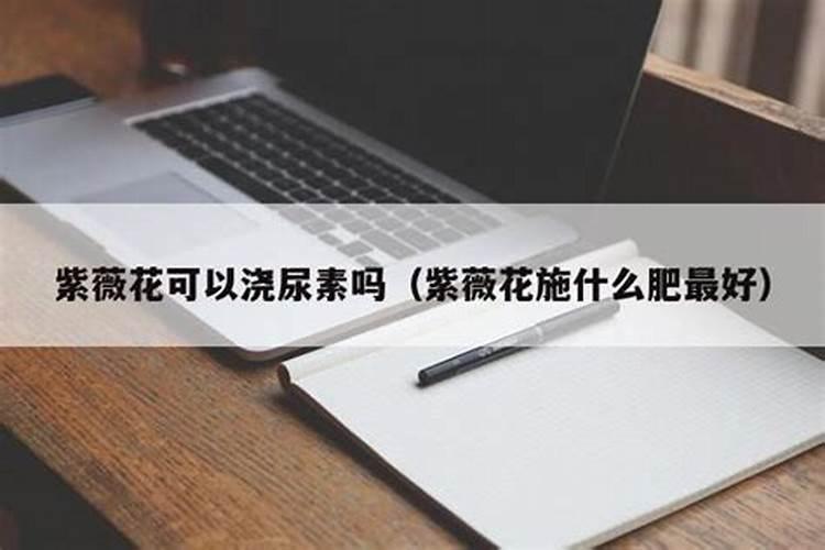 斤水溶肥兑多少水,水溶肥如何使用效果才好