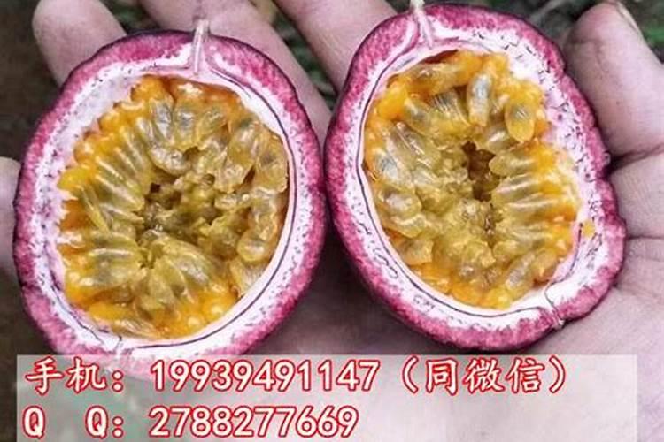 磷肥加水会怎么样