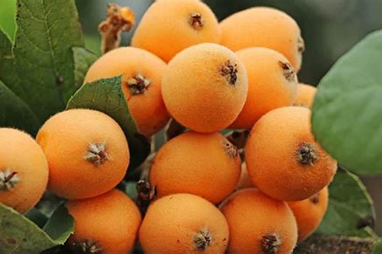 增城市石滩镇海丰鞋厂现在还在吗·有多少人