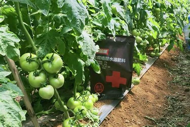 水溶肥料兑水比例是多少