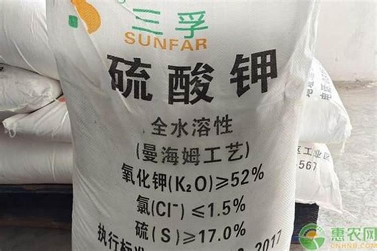 柑橘促花喷什么药好