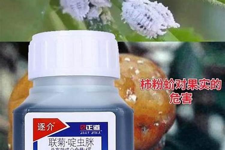 草莓需要施什么肥料