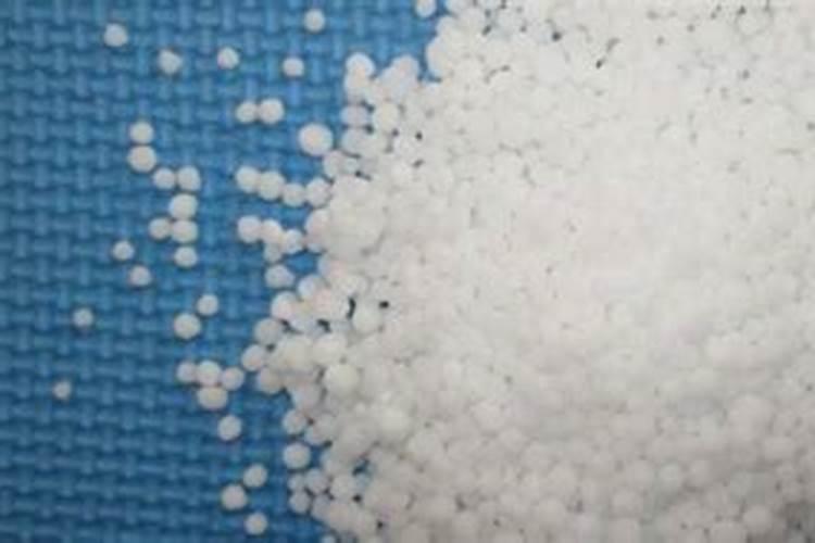 沙参防蛀方法 沙参虫蛀的防治