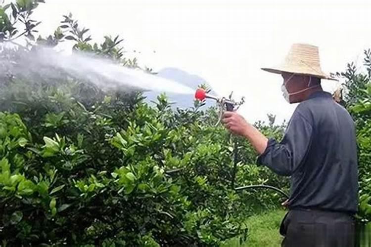 尿素对植物有什么作用