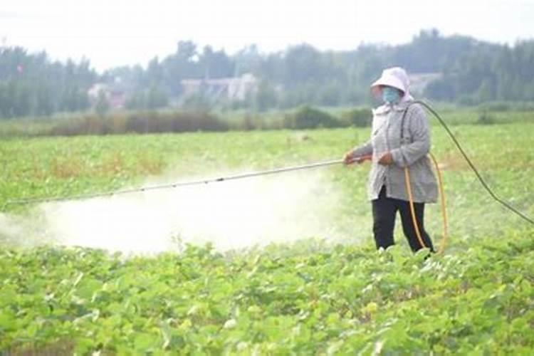 大豆开花期能用尿素吗