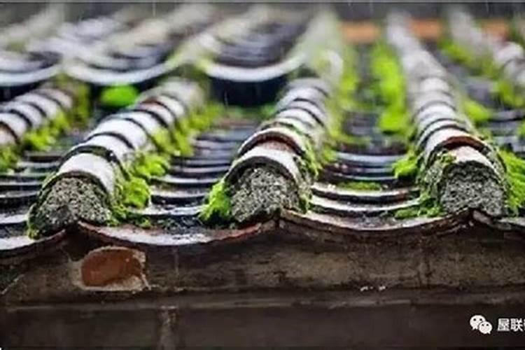 苹果二次膨胀的月份是几月呢