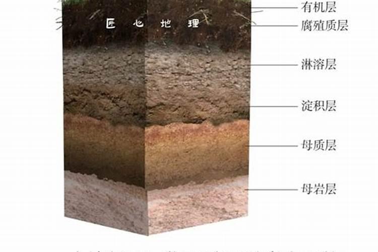 自制氮肥最简单的方法