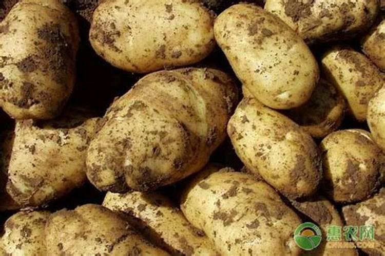 水溶肥价格多少钱一吨