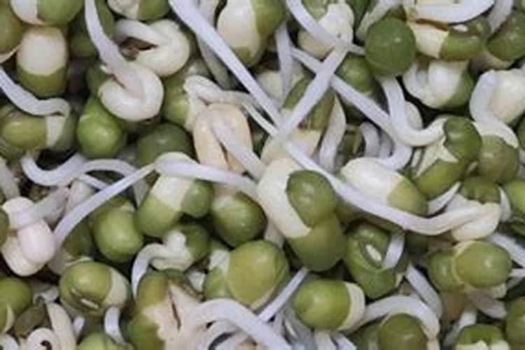 硫酸亚铁养花使用方法