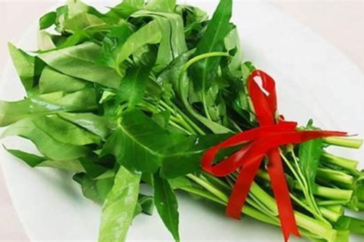 空心菜喜欢什么肥料