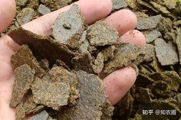 常用锰肥有哪些及施用方法是什么