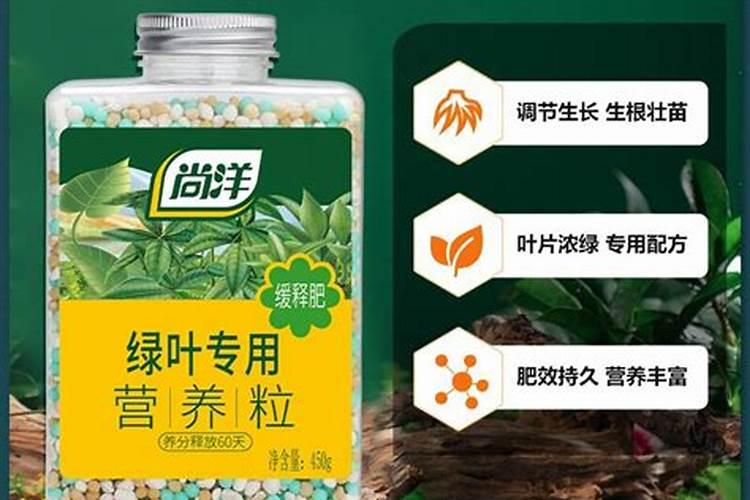 果树叶面肥有哪些