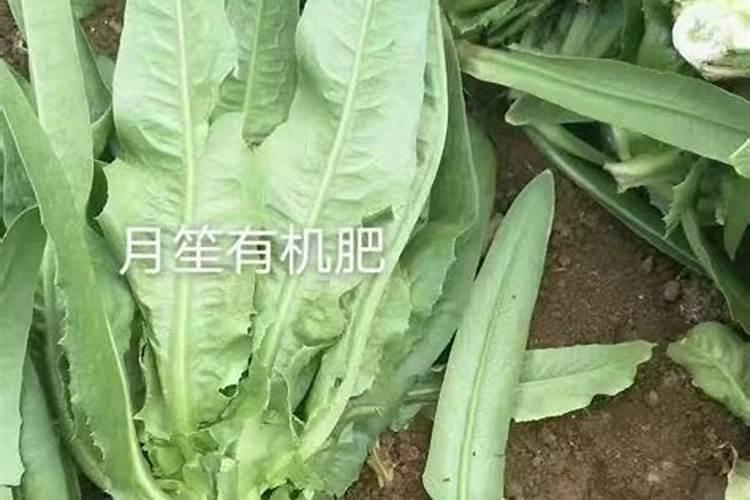 请问一亩苹果树需要多少水溶肥？