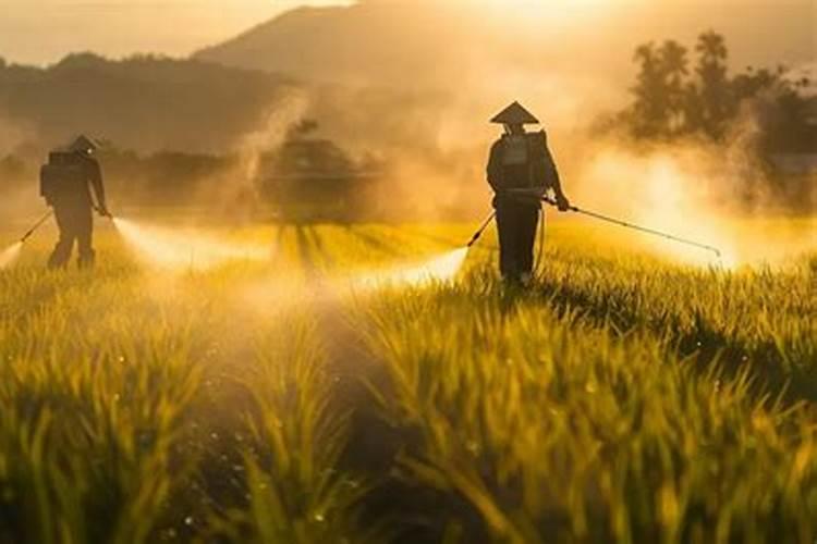 打药和施肥能同时进行吗