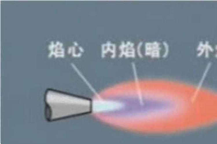 暖宝宝用完了能养花吗