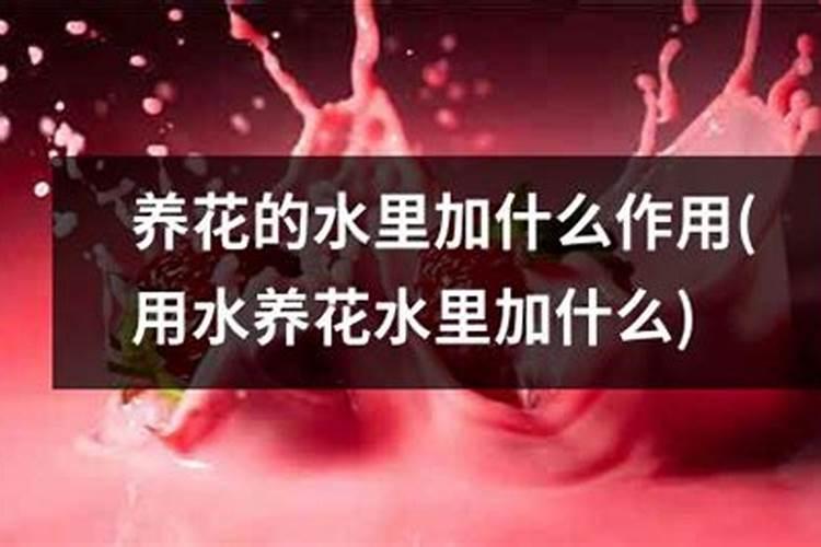 杨梅打什么药好