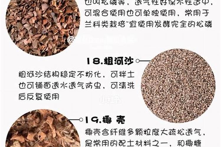 杨梅花期前后用什么叶面肥好？怎么用
