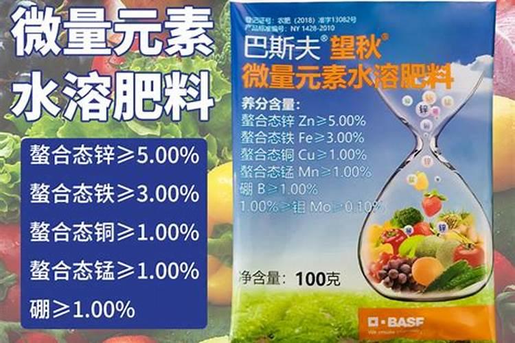 杨梅树几月份打多效挫