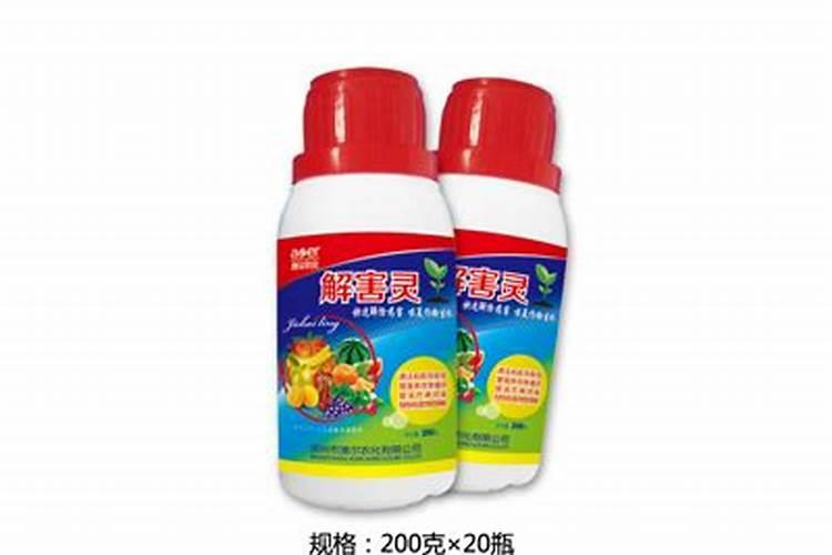 西红柿药害怎么解缓解最快