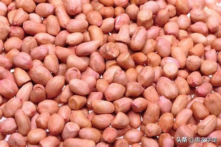 花生种植一亩地利润