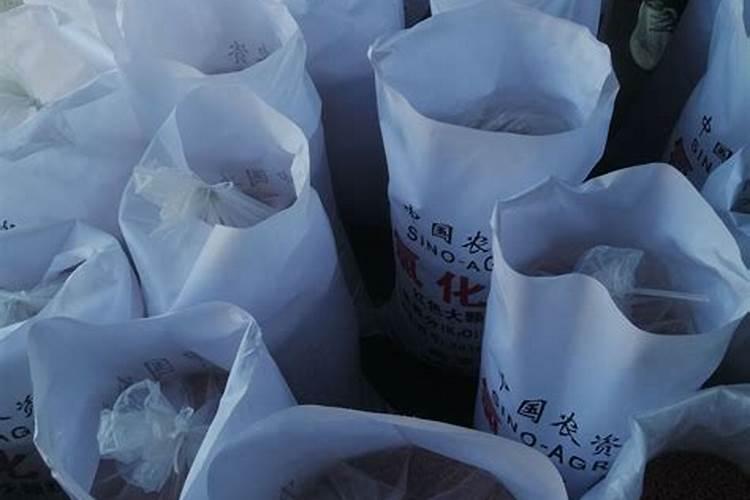 河南一公园桃子成熟,多位大妈上树强摘,谁劝也不行,怎么回事？