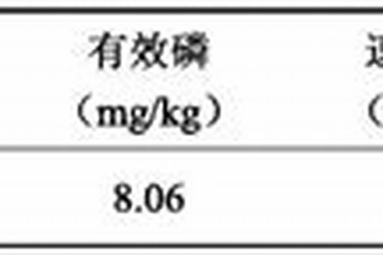绿叶植物用什么肥料
